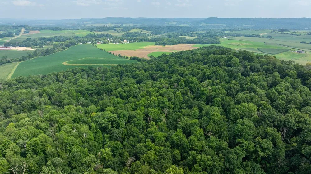 0 County Road J Mondovi, WI 54755
