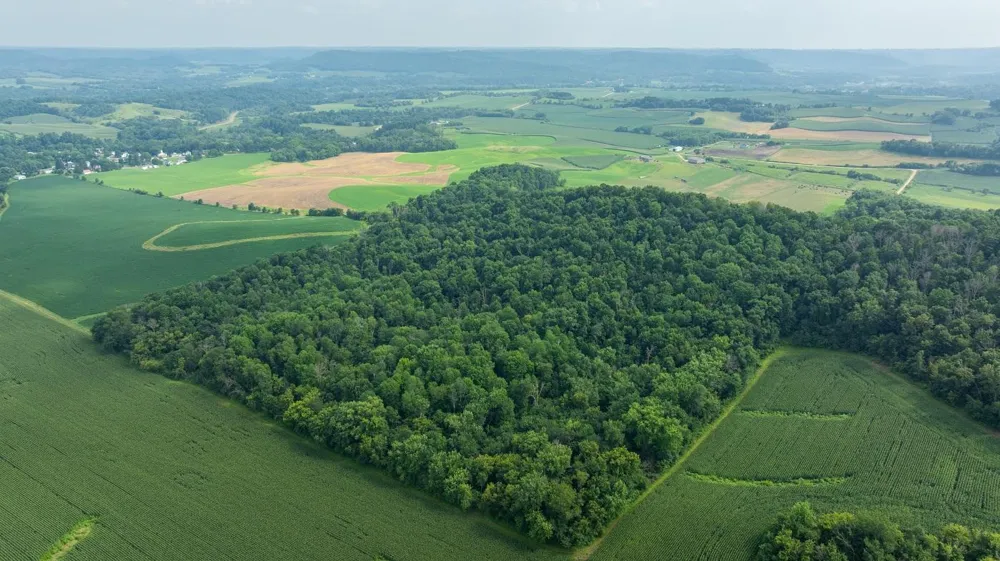 0 County Road J Mondovi, WI 54755