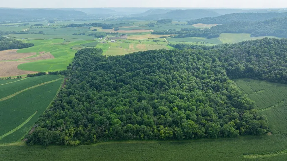 0 County Road J Mondovi, WI 54755