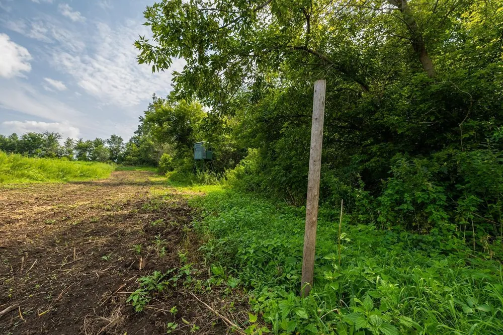 0 County Road J Mondovi, WI 54755