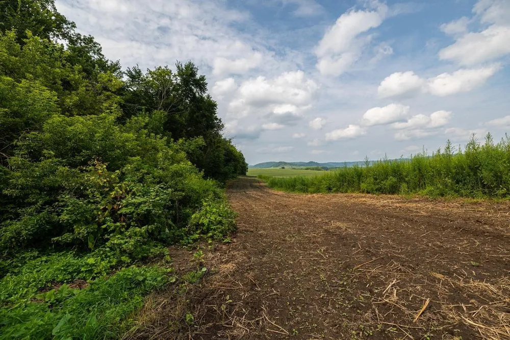 0 County Road J Mondovi, WI 54755