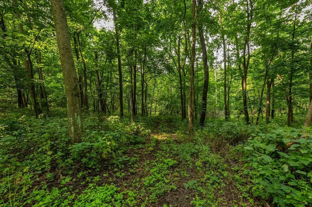 0 County Road J Mondovi, WI 54755