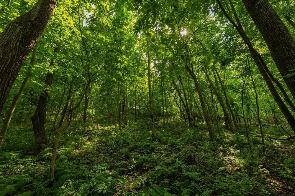 0 County Road J Mondovi, WI 54755