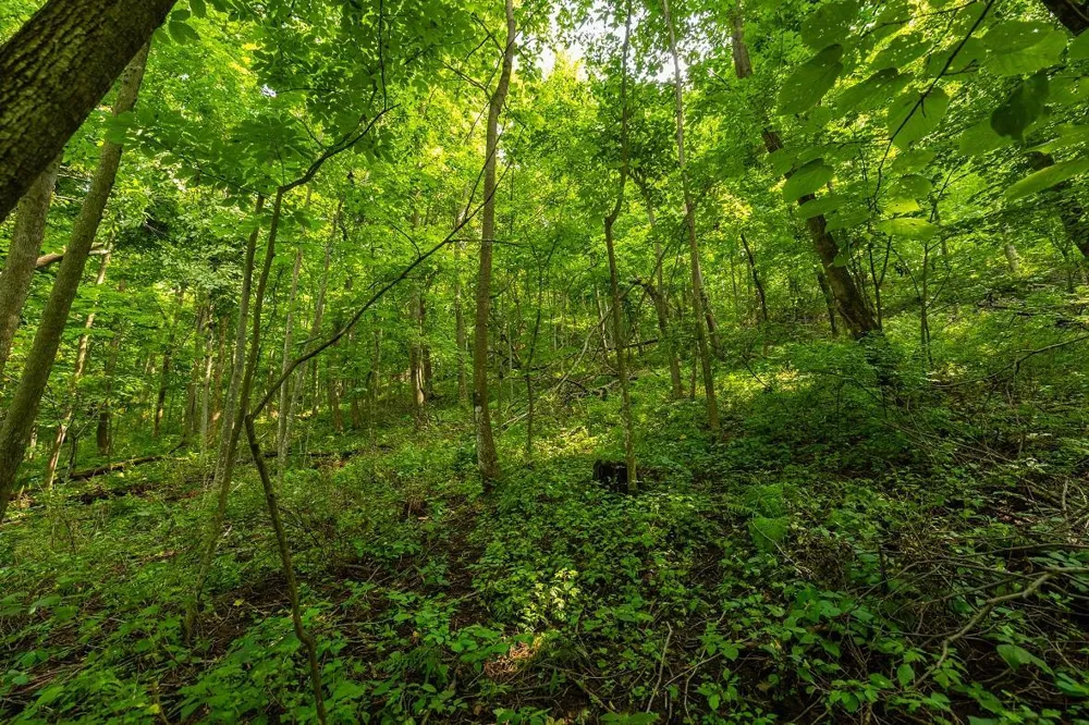 0 County Road J Mondovi, WI 54755