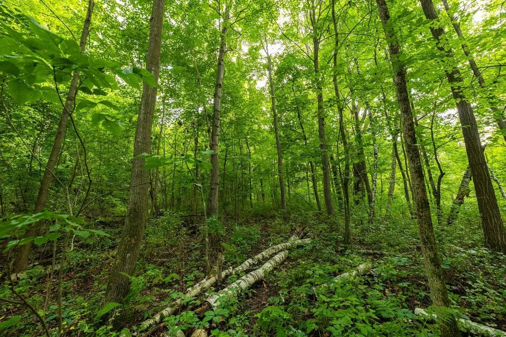 0 County Road J Mondovi, WI 54755