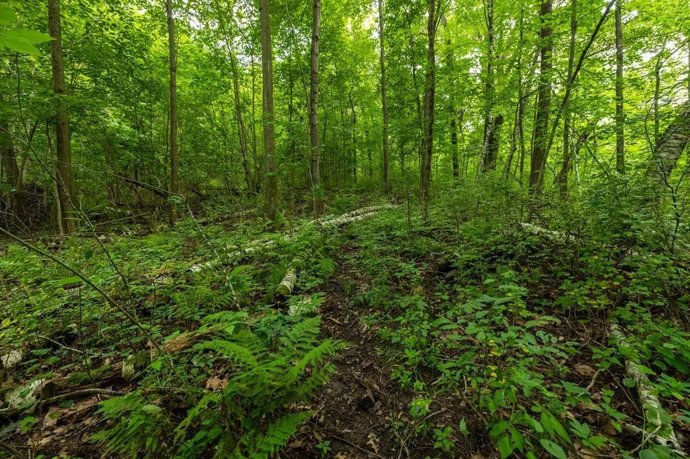 0 County Road J Mondovi, WI 54755