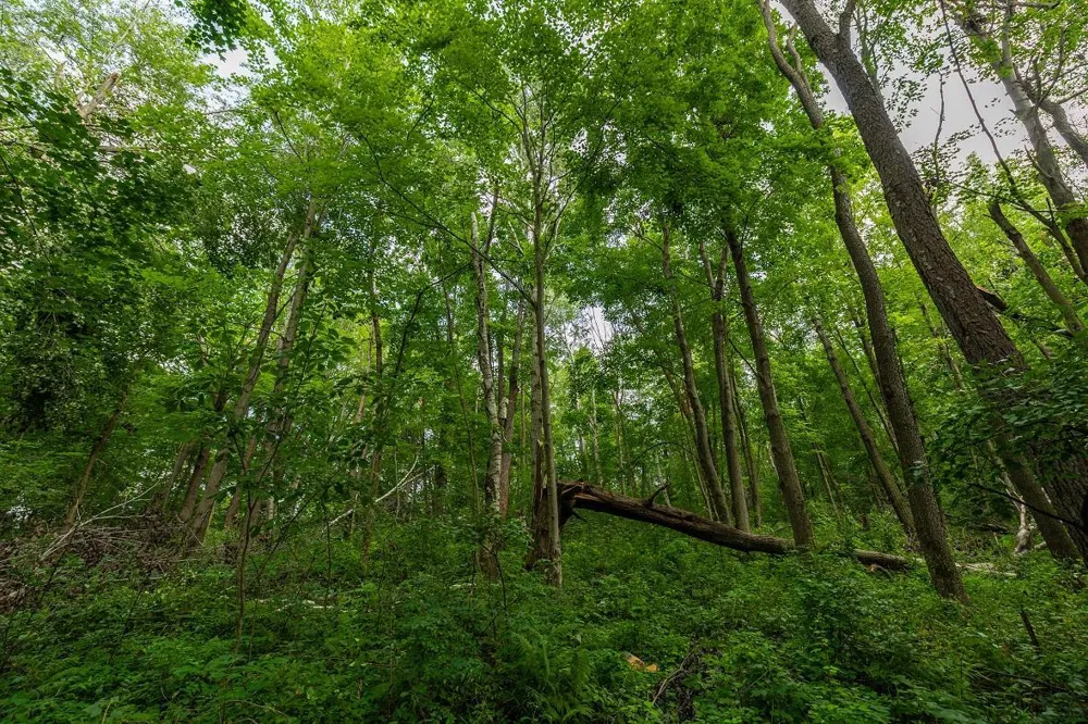 0 County Road J Mondovi, WI 54755