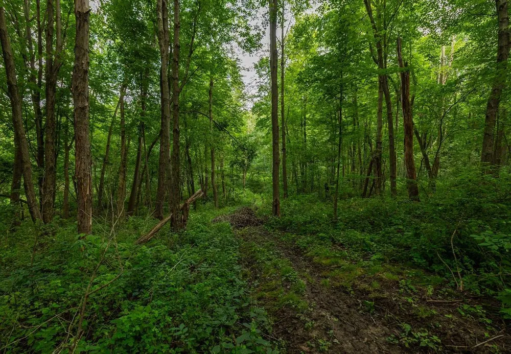 0 County Road J Mondovi, WI 54755