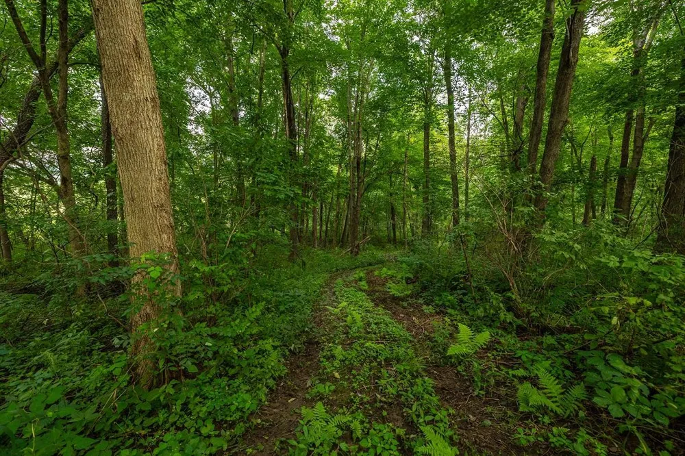 0 County Road J Mondovi, WI 54755