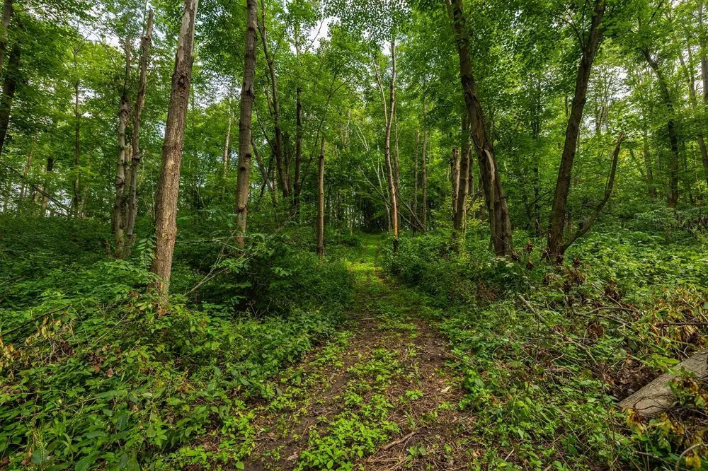 0 County Road J Mondovi, WI 54755