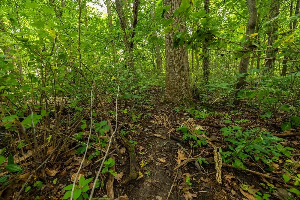 0 County Road J Mondovi, WI 54755