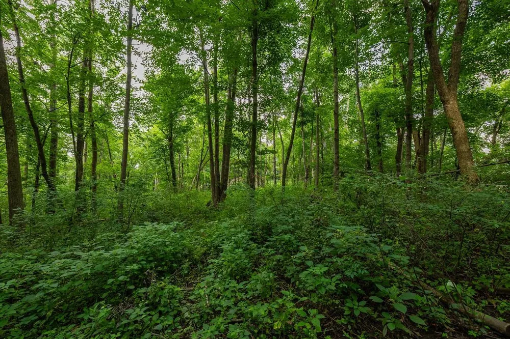 0 County Road J Mondovi, WI 54755
