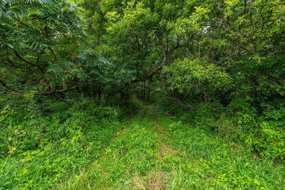 0 County Road J Mondovi, WI 54755