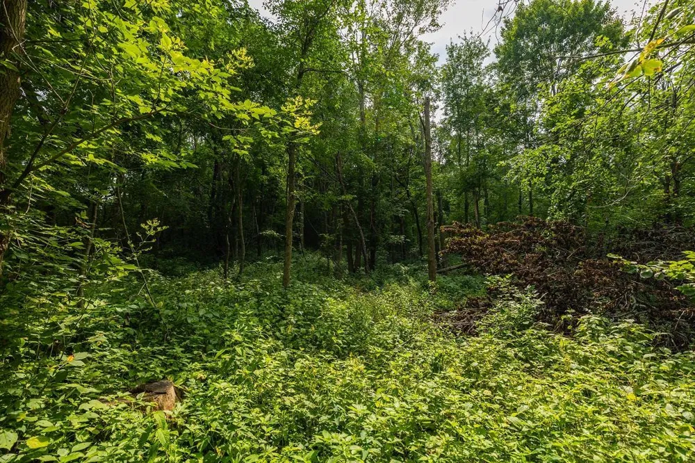 0 County Road J Mondovi, WI 54755