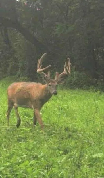 0 County Road J Mondovi, WI 54755