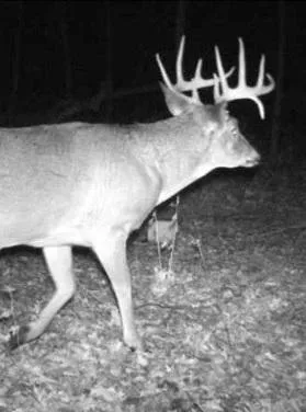 0 County Road J Mondovi, WI 54755