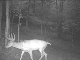 0 County Road J Mondovi, WI 54755