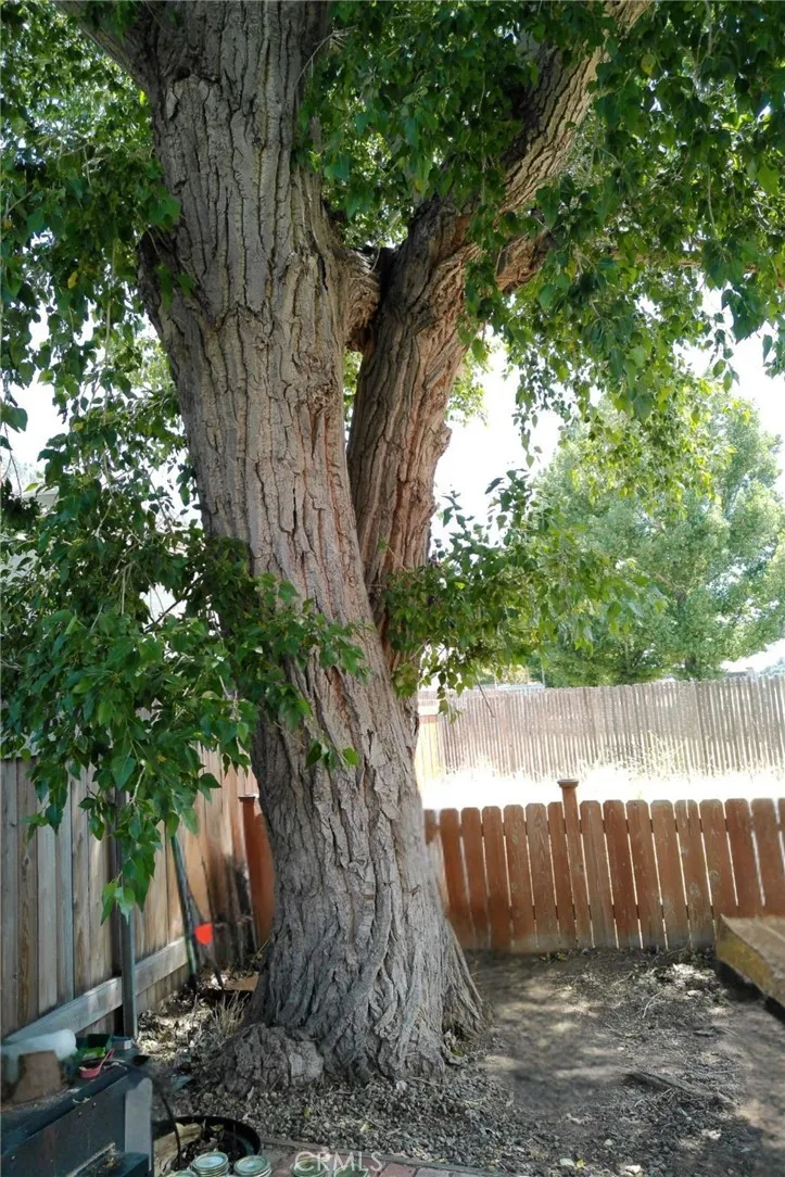 412 Border Frazier Park, CA 93225