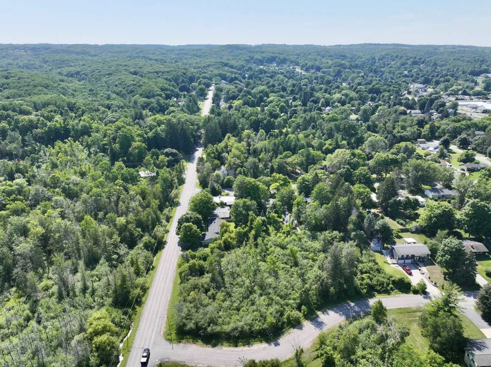 10581 E Grandview Road Elmwood Charter Township, MI 49684