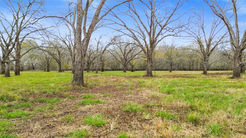 Pr 1350 Centerville, TX 75833