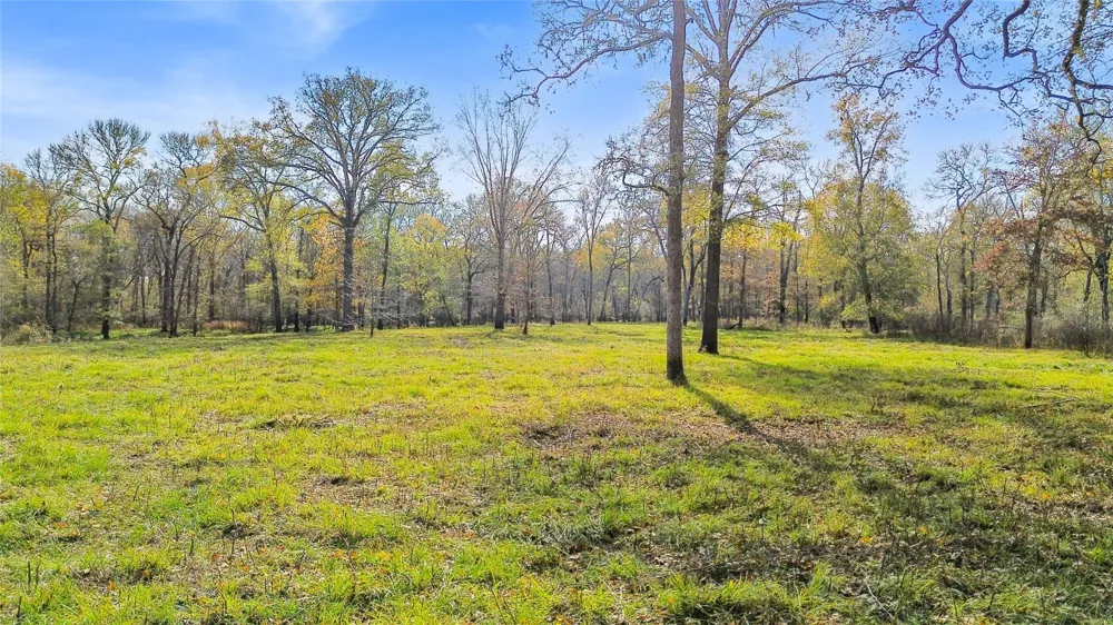 Pr 1350 Centerville, TX 75833