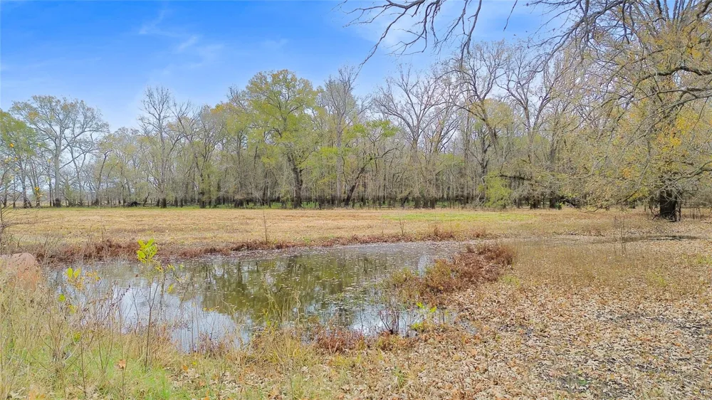 Pr 1350 Centerville, TX 75833