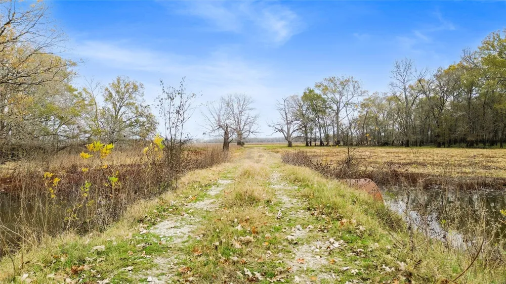 Pr 1350 Centerville, TX 75833
