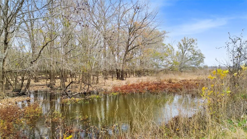 Pr 1350 Centerville, TX 75833