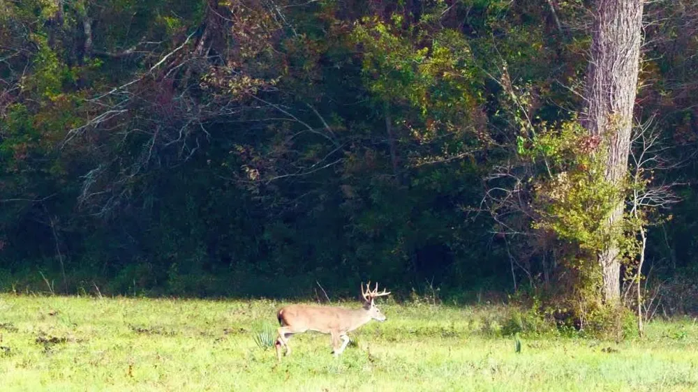 Pr 1350 Centerville, TX 75833