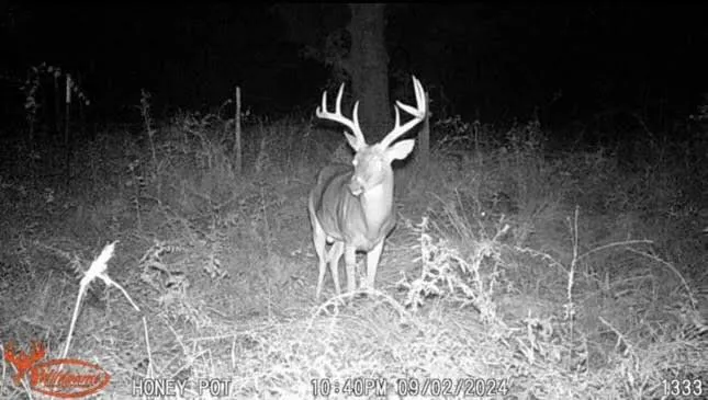 Pr 1350 Centerville, TX 75833