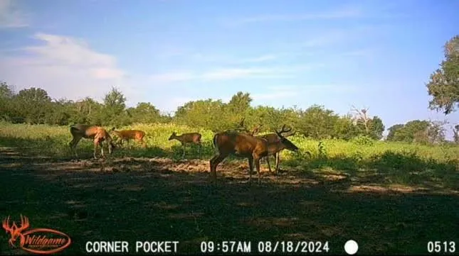 Pr 1350 Centerville, TX 75833