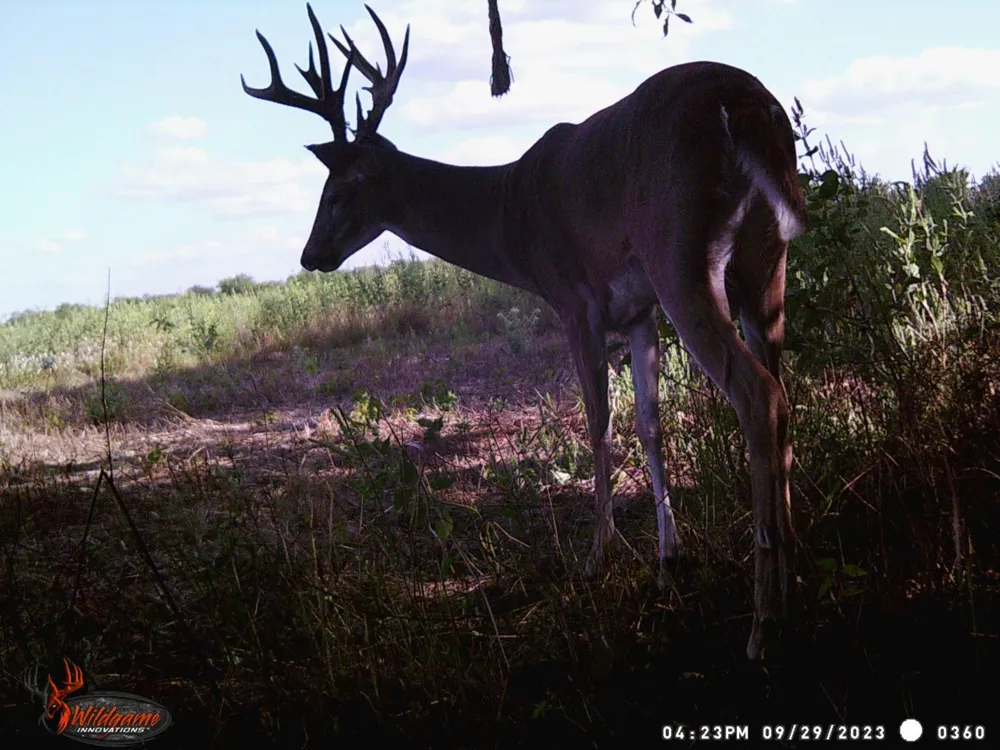 Pr 1350 Centerville, TX 75833