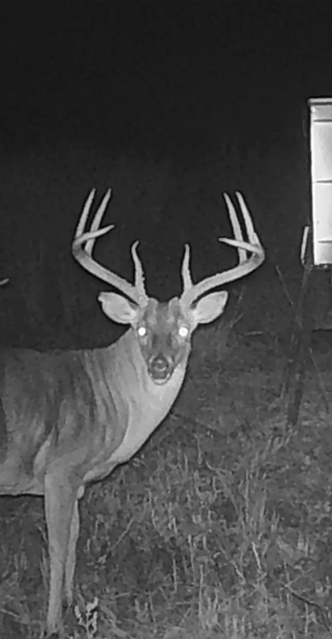 Pr 1350 Centerville, TX 75833