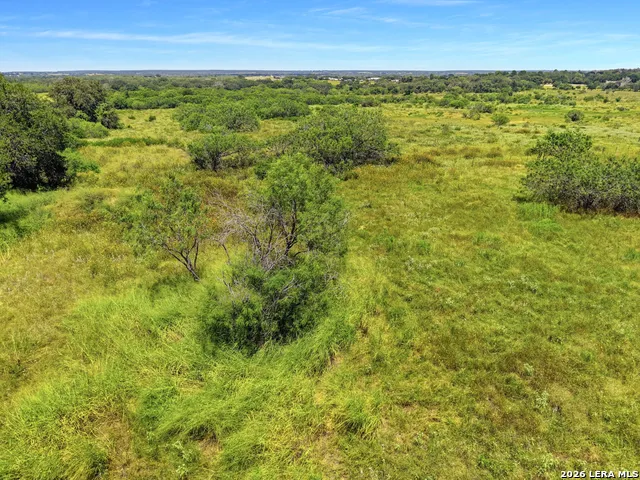 802 Wolf La Vernia, TX 78121