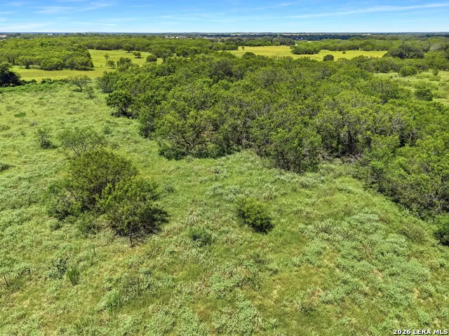 802 Wolf La Vernia, TX 78121