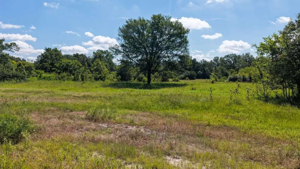 Fm 2158 Tx Midway, TX 75852