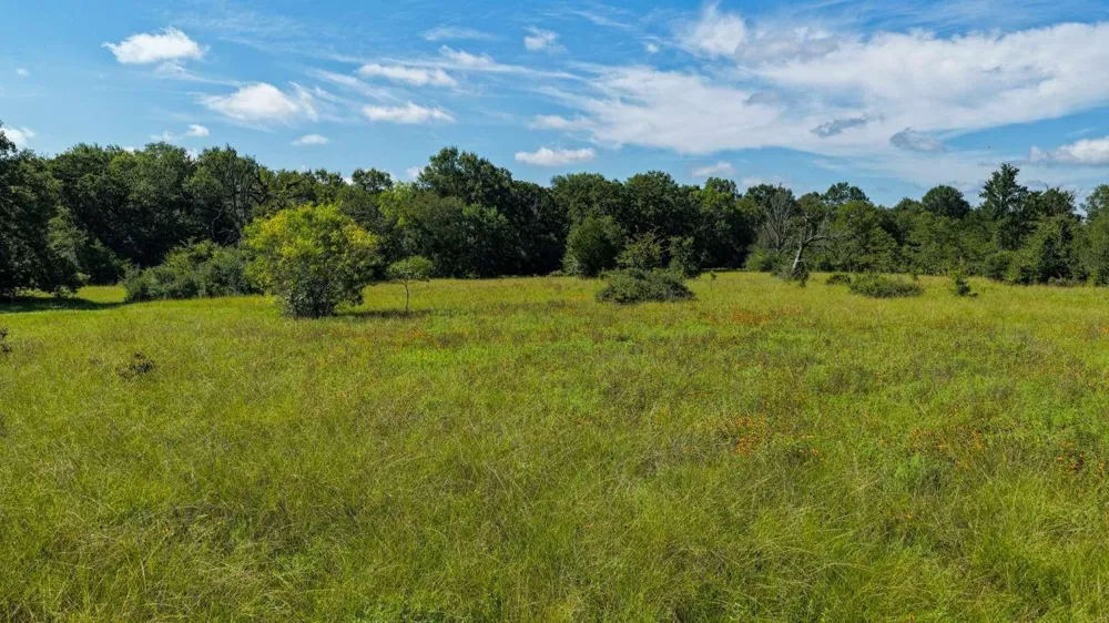 Fm 2158 Tx Midway, TX 75852