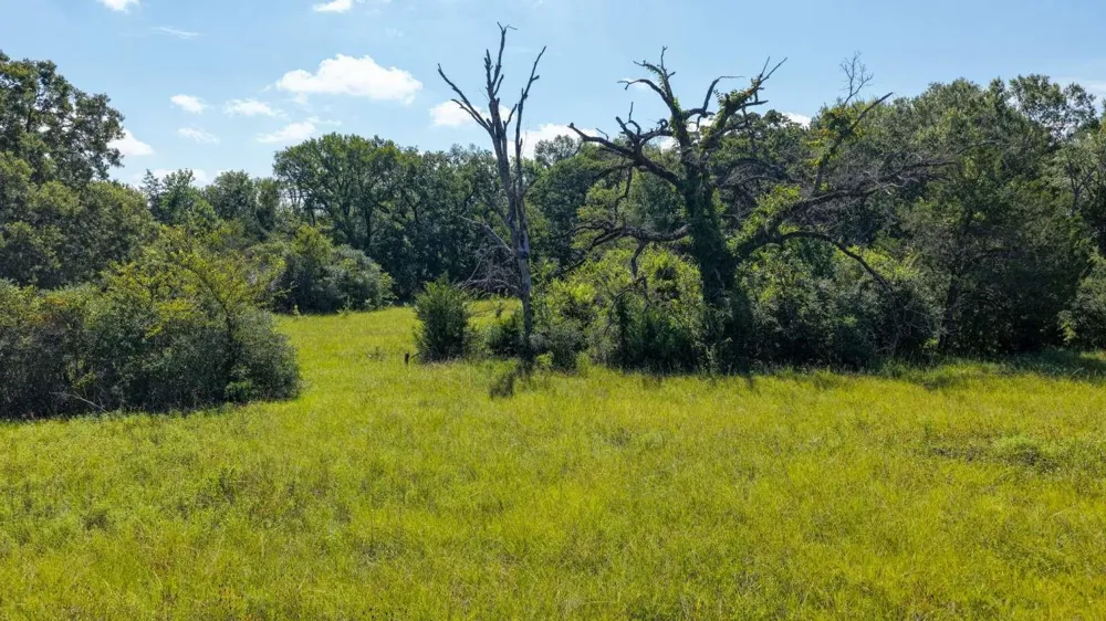 Fm 2158 Tx Midway, TX 75852