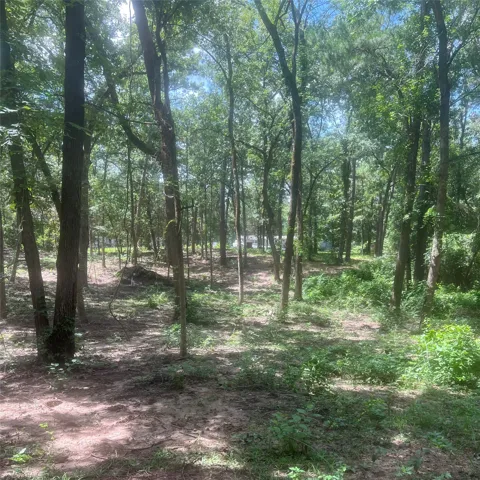 Azalea Lane
