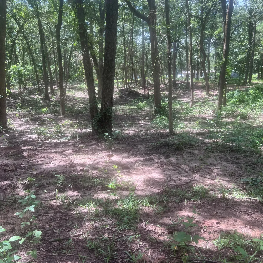 Azalea Lane Mount Vernon, TX 75457