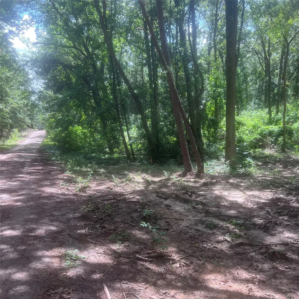 Azalea Lane Mount Vernon, TX 75457
