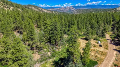 1859 County Road 917