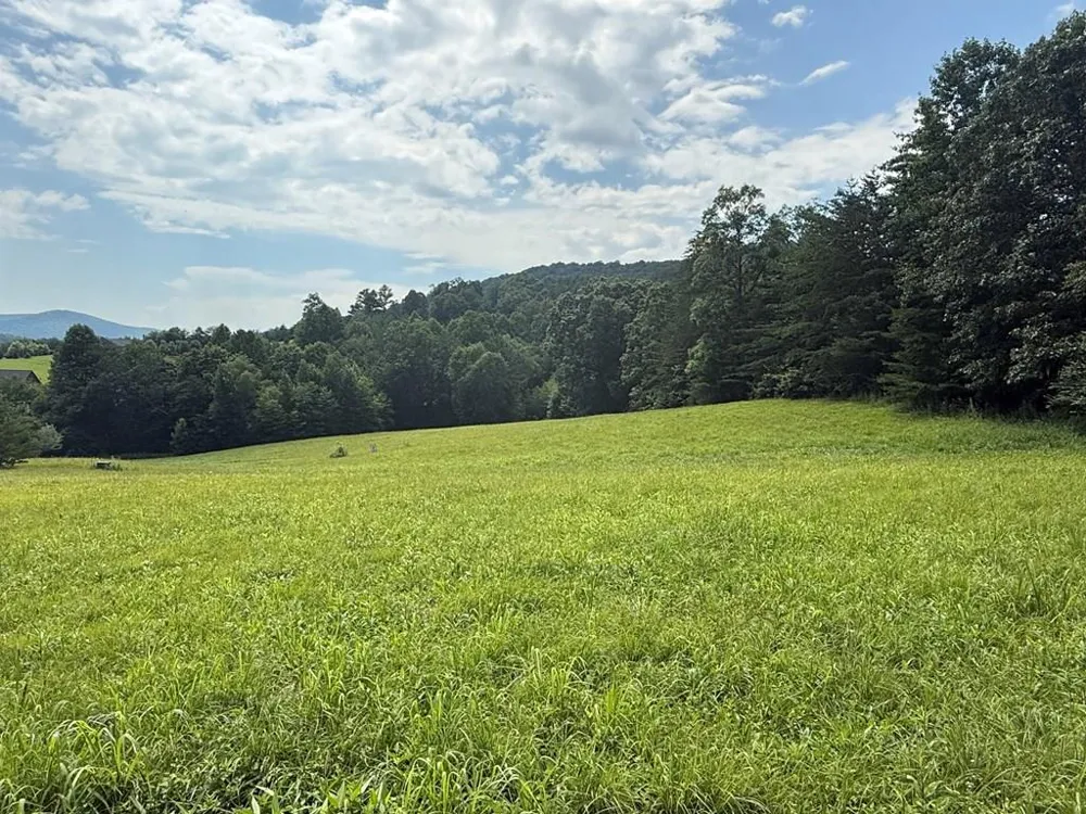 Lot 52 The Preserve At Cc Young Harris, GA 30582