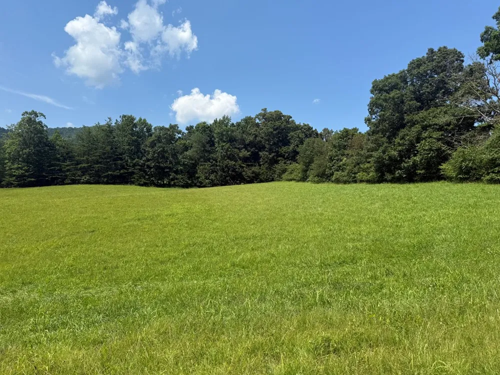 Lot 52 The Preserve At Cc Young Harris, GA 30582