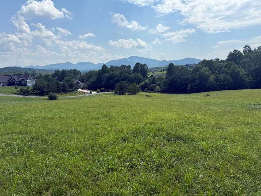 Lot 52 The Preserve At Cc Young Harris, GA 30582