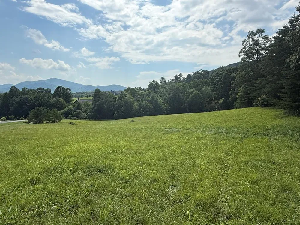 Lot 52 The Preserve At Cc Young Harris, GA 30582