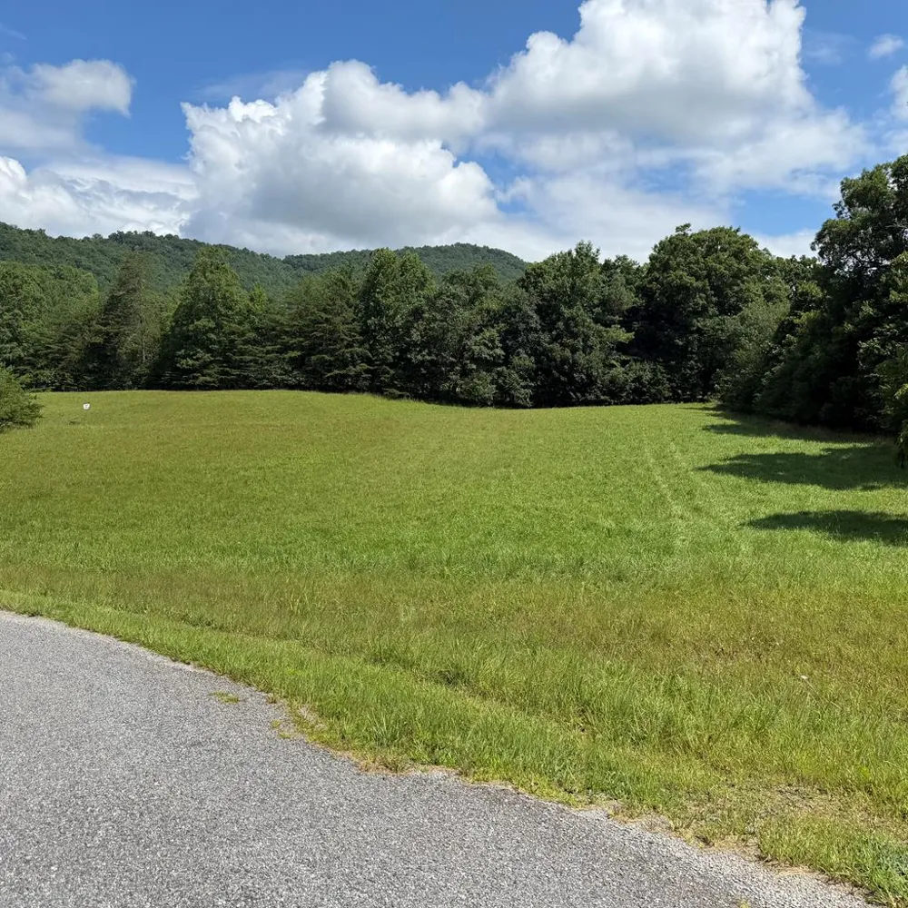 Lot 52 The Preserve At Cc Young Harris, GA 30582