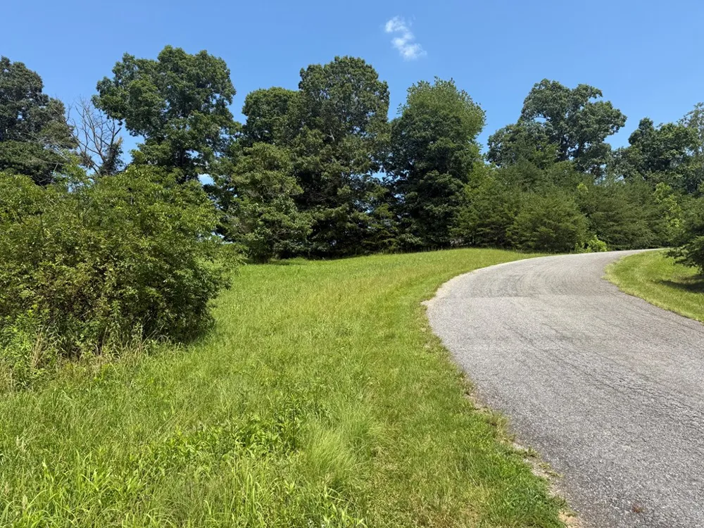 Lot 52 The Preserve At Cc Young Harris, GA 30582