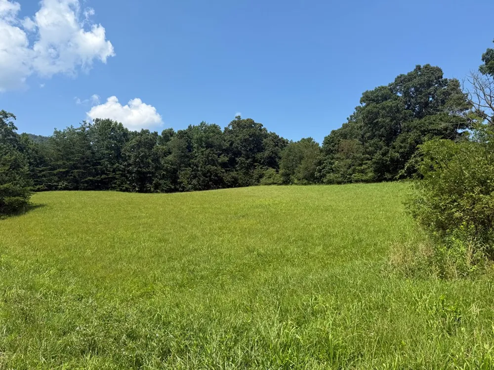 Lot 52 The Preserve At Cc Young Harris, GA 30582