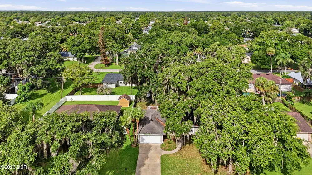 3128 Mango Tree Drive Edgewater, FL 32141